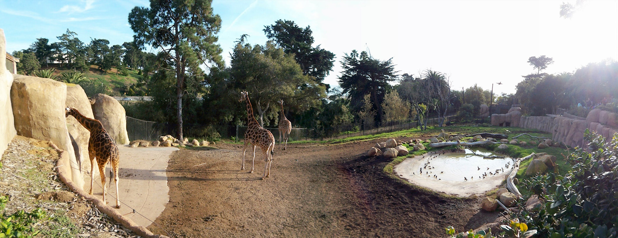 Santa Barbara Zoo Trek Spotter